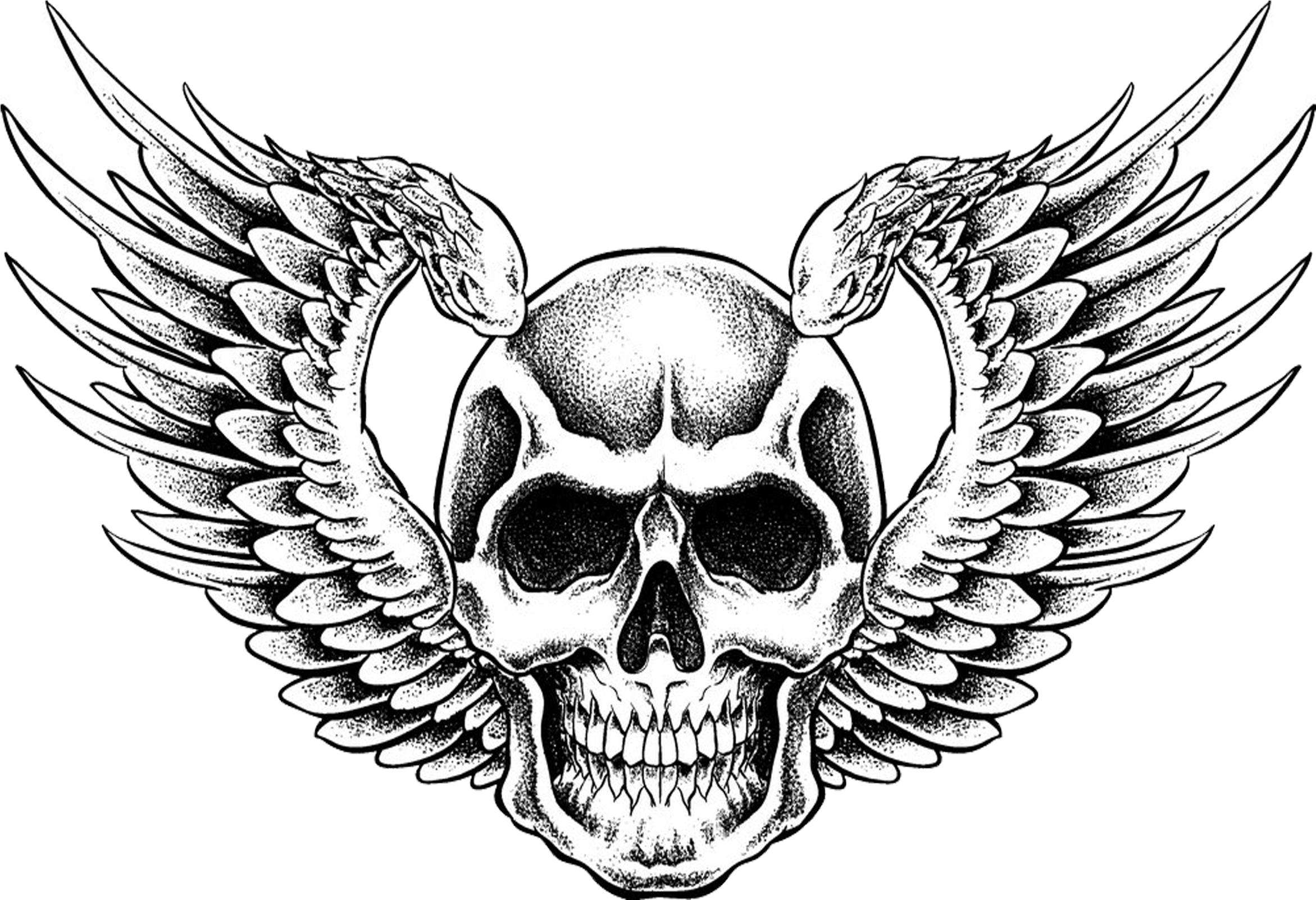 Clip Black And White Download Hillbilly Drawing Skull - Death Skull Wings (2953x2953)