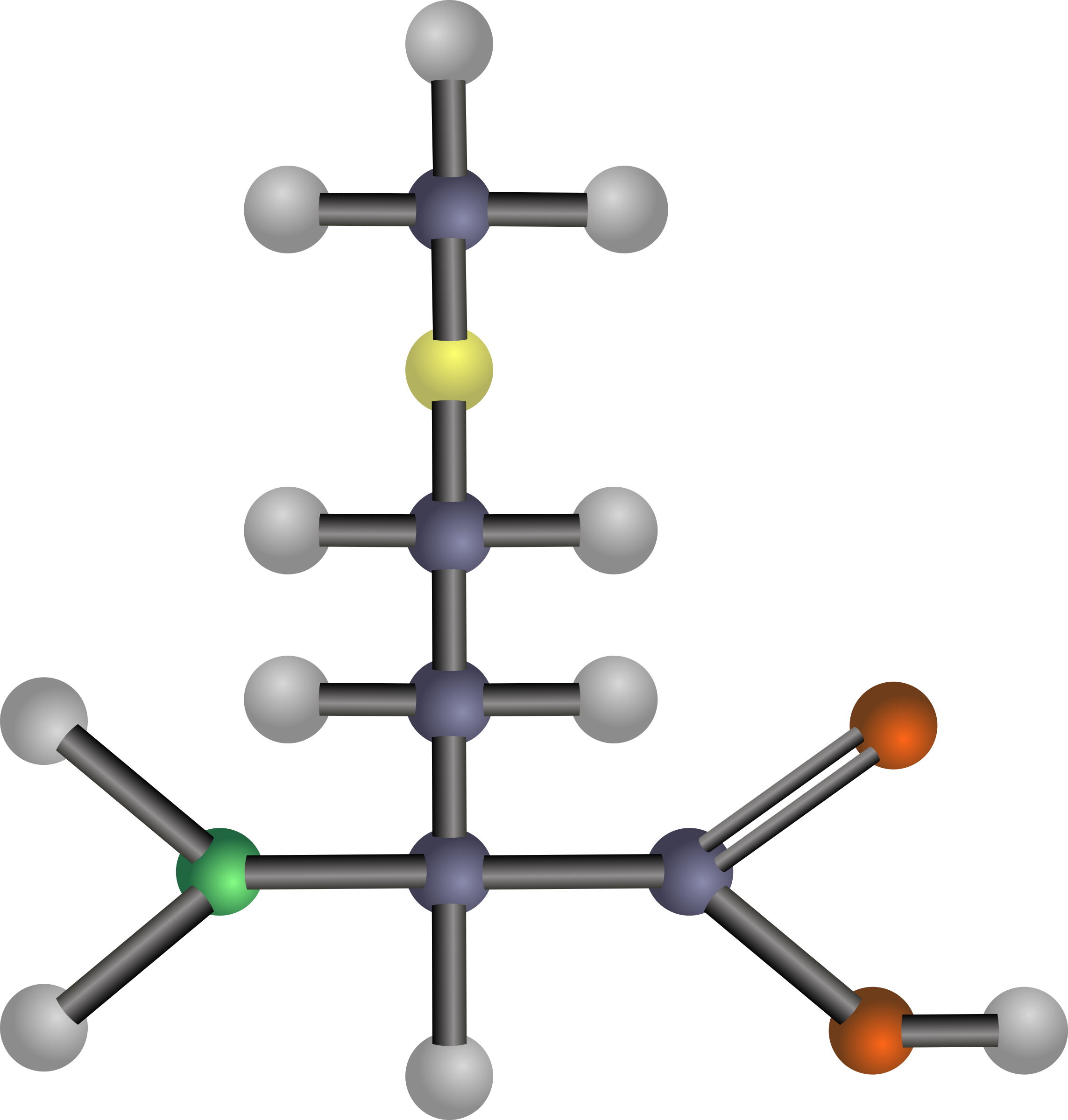 Branched-chain Amino Acid Threonine Aspartic Acid - Amino Acids: Biochemistry And Applications (2287x2400)