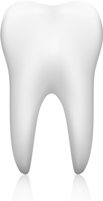 A Dental Implant Is An Artificial Tooth Root That Is - Tooth Png (370x742)