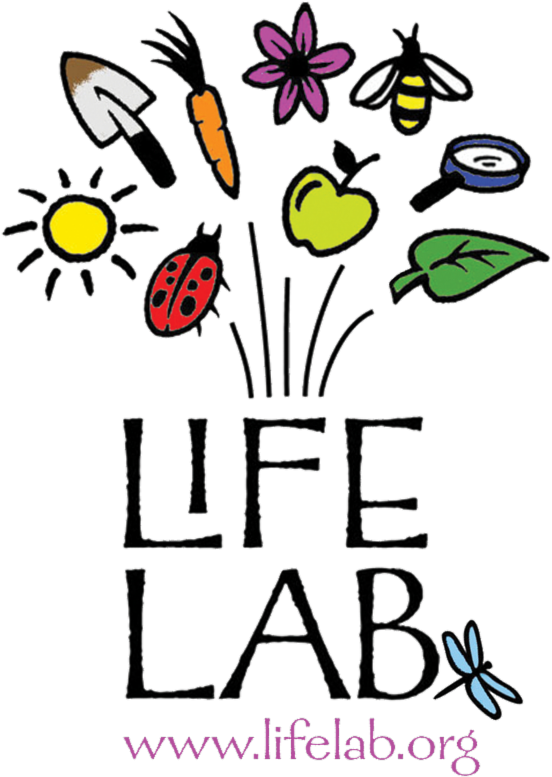 Cookout Clipart Byob - Life Lab (800x800)