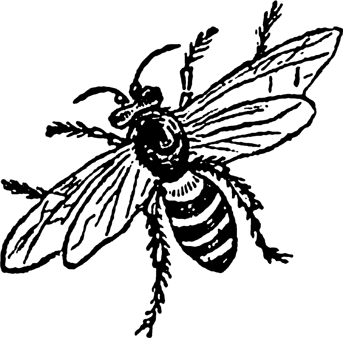 Images Give A Vintage Charm To Any Project - Batman In Action Drawing (1600x1541)