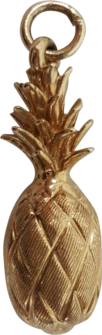Clip Art Bronze Pineapple - Charm Bracelet (1125x1125)