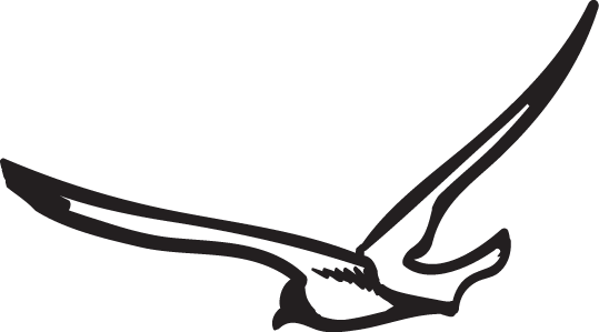 The First 100 Days - The First 100 Days (539x299)