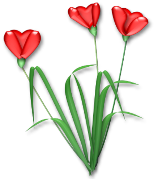Flower (532x600)