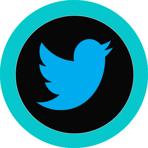 The Aim Of The Venture Scout Section Is To Continue - Pastel Twitter Logo (500x500)