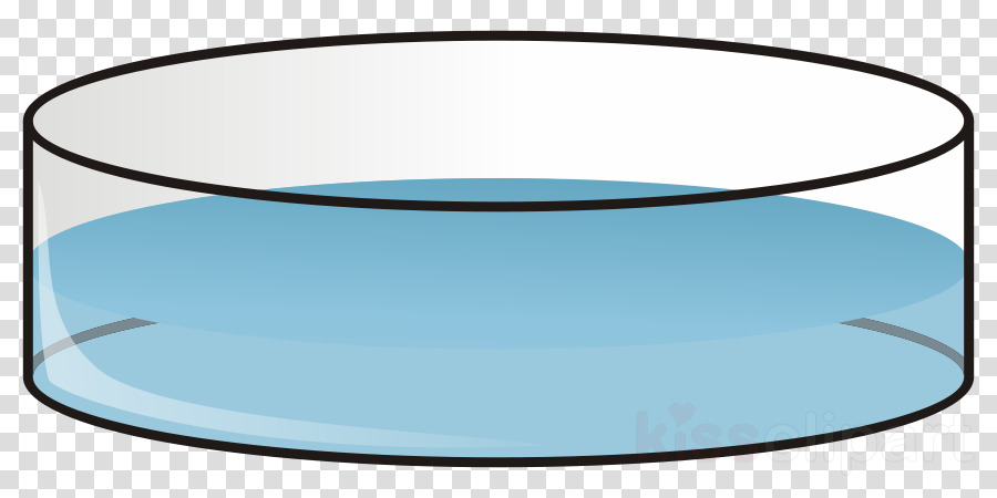 Petri Dish Png Clipart Petri Dishes Cell Culture Clip - Petri Dish Png Clipart Petri Dishes Cell Culture Clip (900x450)