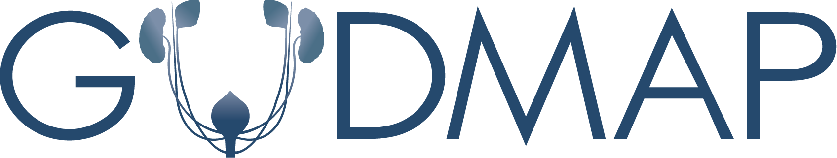 Citing Gudmap - Molecular Anatomy (1696x321)