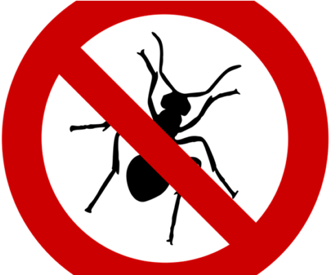 23 Surprising Uses For That Household Staple, Bicarbonate - Control De Plagas Png (520x400)