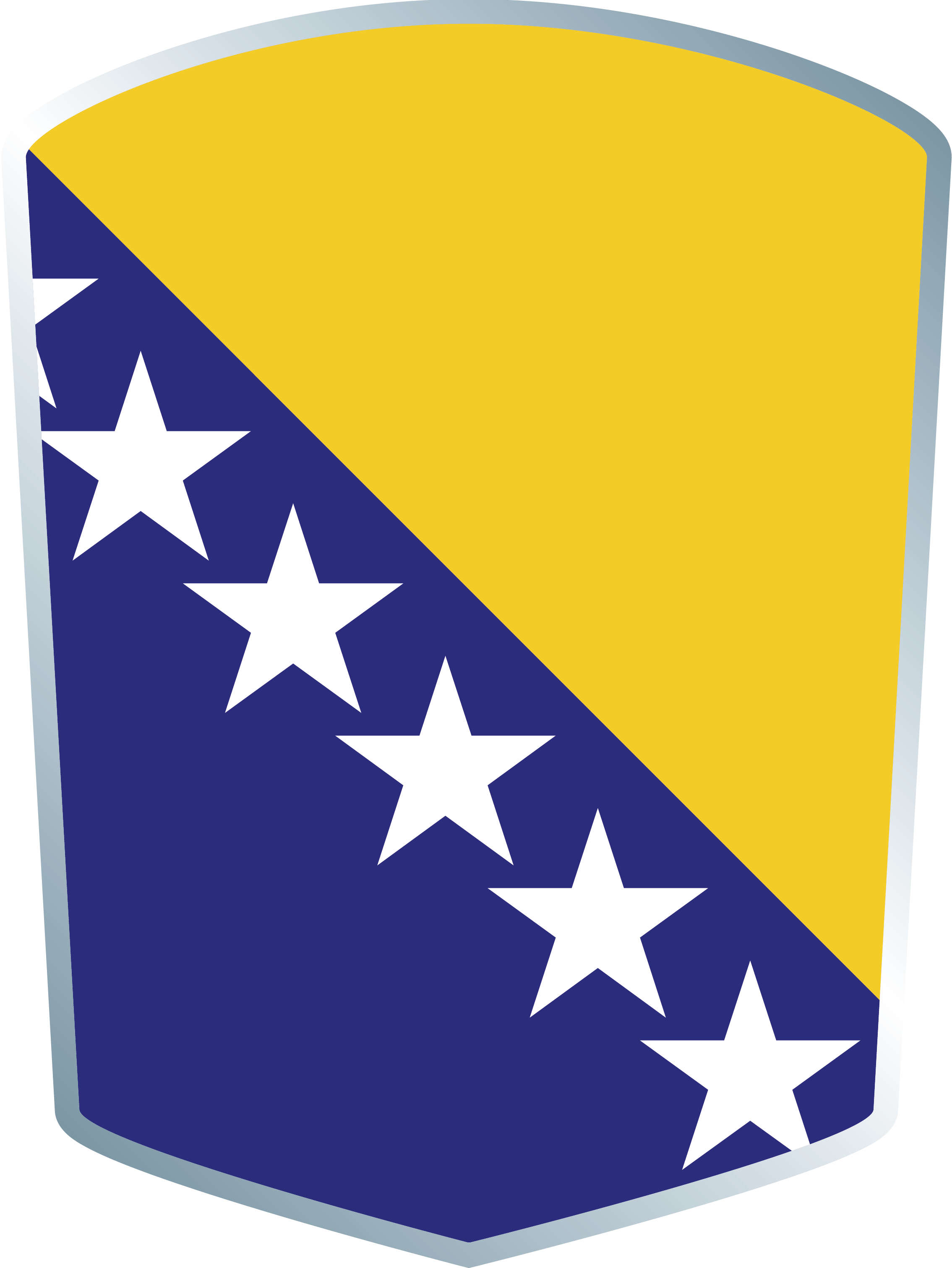 2018 Rugby Europe International Championships - Bosnia And Herzegovina Round Flag (2269x3022)