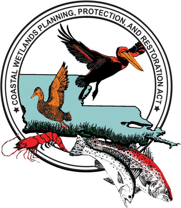 Coastal Wetlands Planning, Protection, And Restoration - Coastal Wetlands Planning, Protection, And Restoration (640x732)