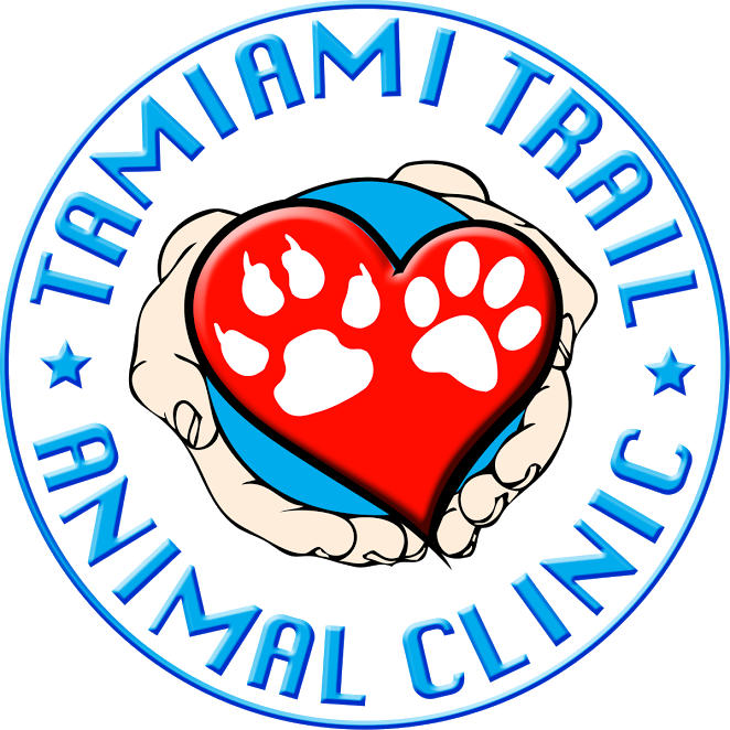 Last Generation Medical Equipment - Tamiami Animal Hospital (662x662)