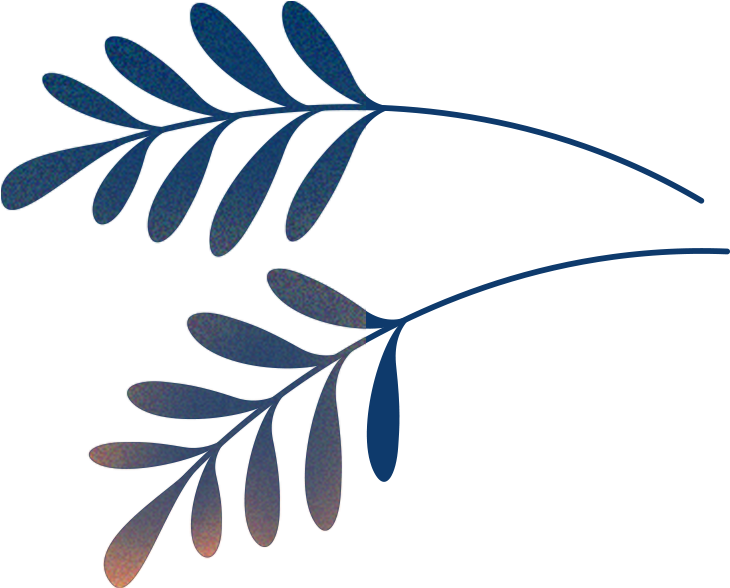 Jeff Wilson Pool Service (740x596)