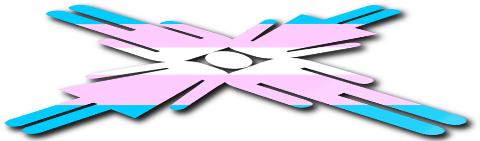 Issues On Reform Of Health And Public Policies To Advance - Gender Dysphoria (1000x288)