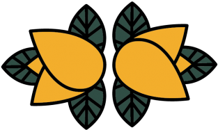 Assessment - Wildflowers Children's Therapy (1030x309)