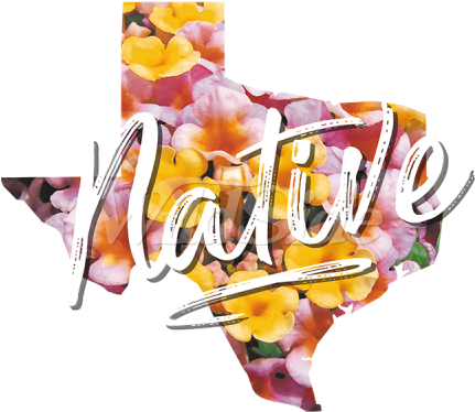 Texas Native Flowers - Illustration (450x450)
