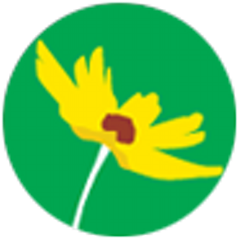 Florida Wildflower - Florida Wildflower (400x400)