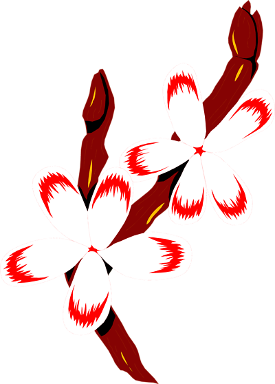 Free Stock Photos - Red And White Flower Png (400x558)