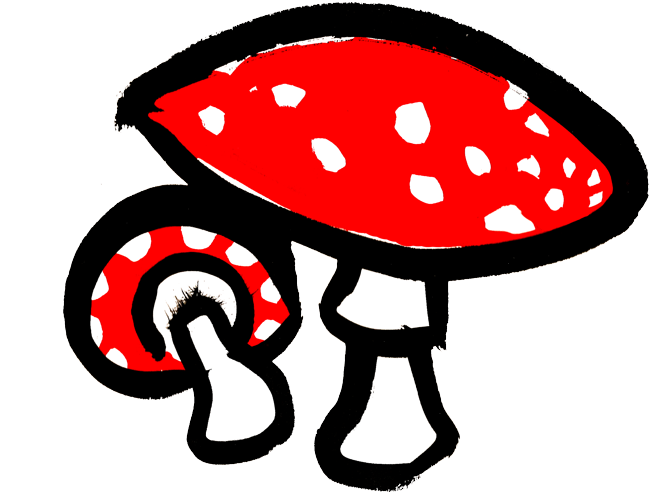 Fly Agaric Toadstool - Fly Agaric Toadstool (1400x549)