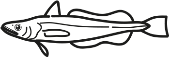 European Hake - Line Art (452x427)