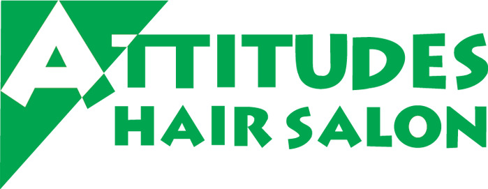 Clip Art Attitudes Hair Salon With Transparent Background - Attitudes Hair Salon (699x271)