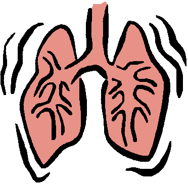 Getting Rid Of Asthma - Point Cabrillo Light (372x364)