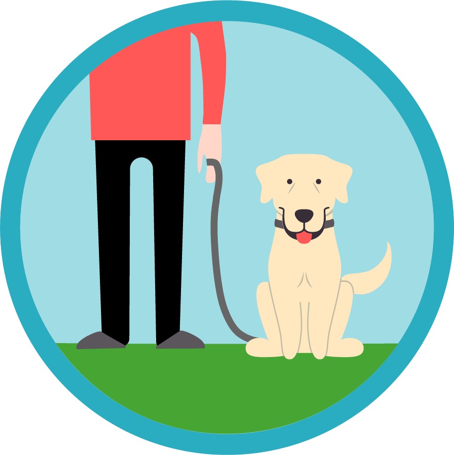 Holiday Dog Care Options - Dog (913x915)