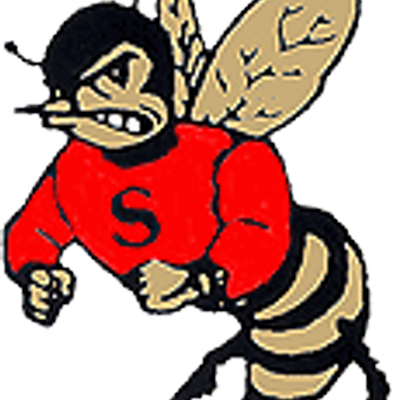 Salisbury Hs - Salisbury High School Hornets (400x400)