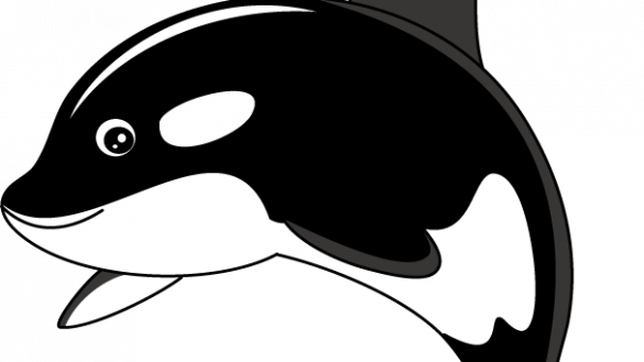 Orca Clipart Orcas Clip Art Panda Free Images Coloring - Orca Dibujo Animado (585x329)