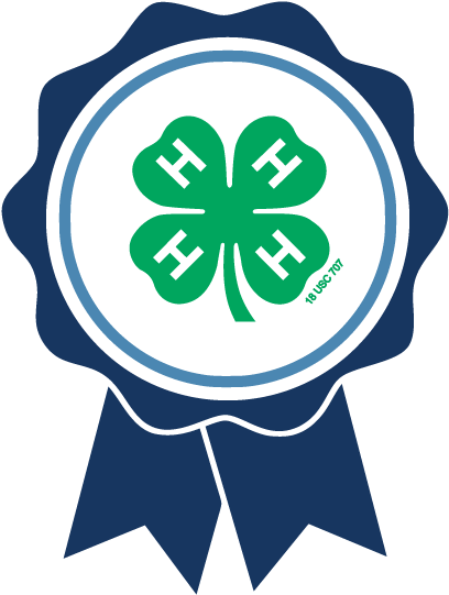 2019 Maine 4-h State Public Speaking Tournament - 4 H Clover (600x600)