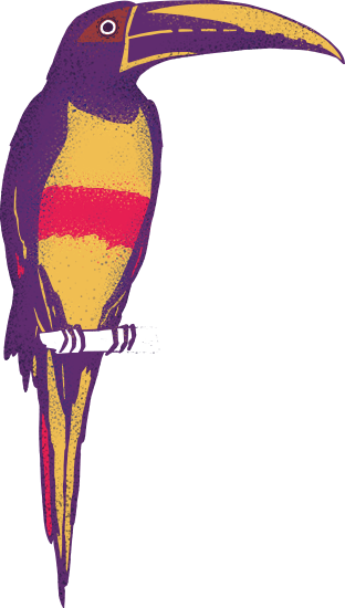 Image Free About Amaz Nia Font Menu - King Penguin (312x550)