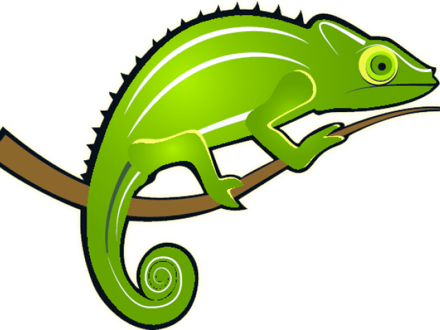 Lizard Clipart Hole - Caméléon Clipart (640x480)