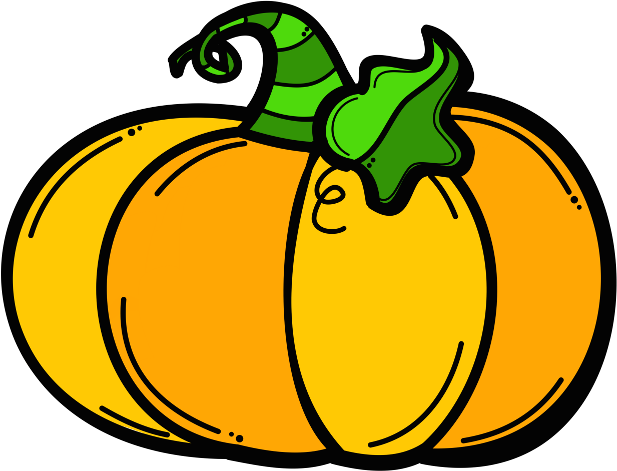 Pin By Jana Londáková On Farby - Black And White Pumpkin Transparent (1354x1043)