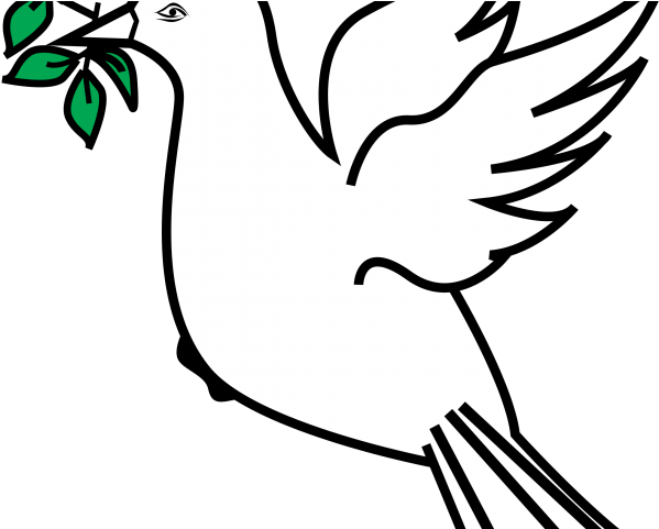 Picture Of Dove With Olive Branch Free Download Clip - 1s Tee Dove And Olive Branch 3 (640x480)
