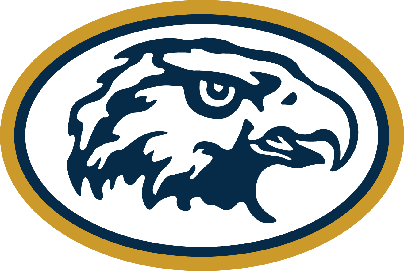 Hermantown Community Schools - Hermantown Hawks Logo (1317x885)