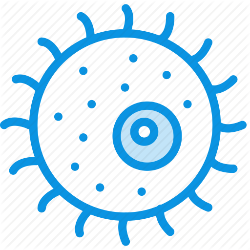 Clip Art Library Download Biology Clipart Cell - Sunset Icon (512x512)