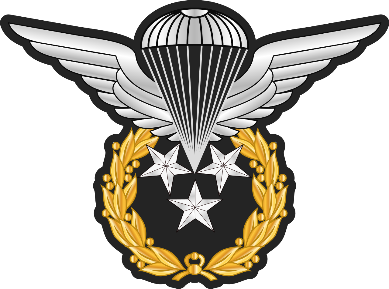 Iranian Parachutist Master 1st Class - Emblem (1280x953)