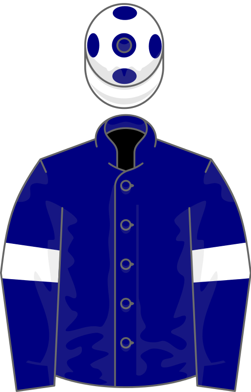 Owner P L Mason - Horse Racing (512x799)