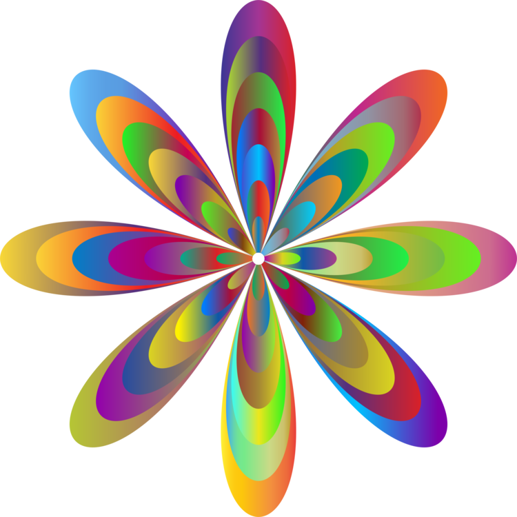 All Photo Png Clipart - Clip Art (750x750)