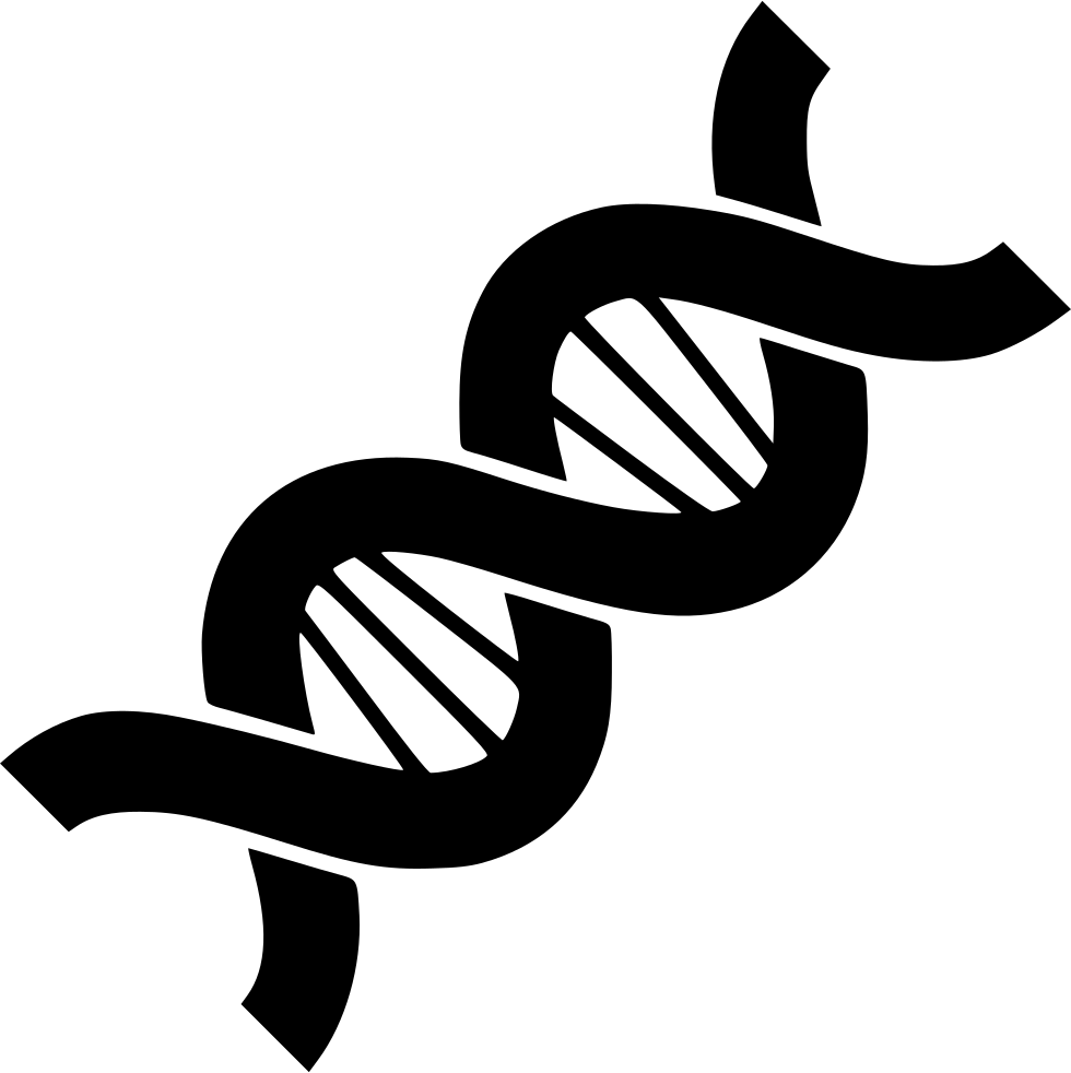 Clip Free Stock Biology Structure Chain Helix - Genetic Png (980x982)