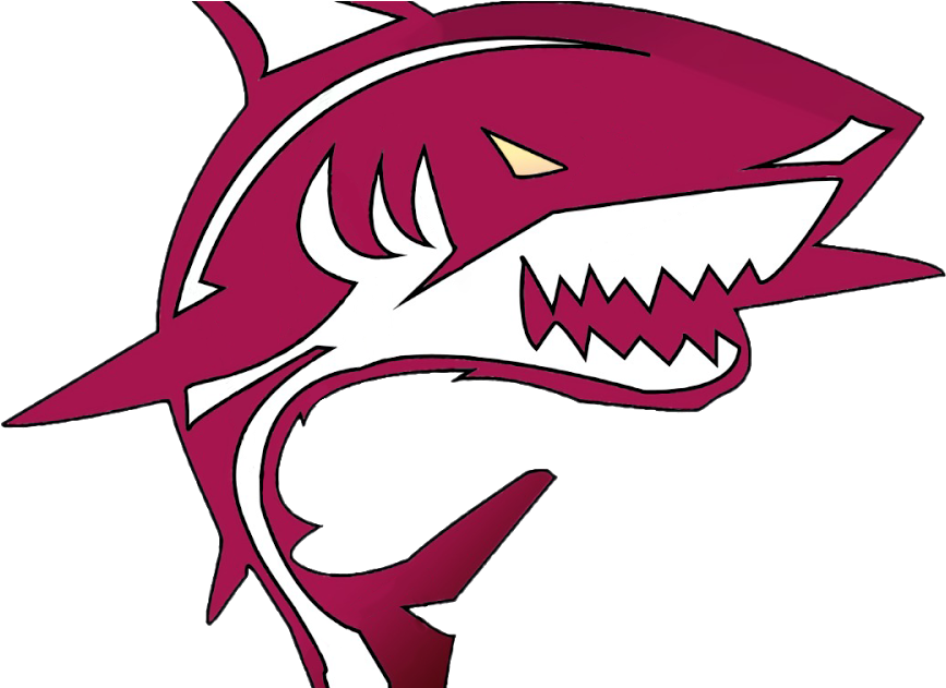 Bash Post Exploitation Toolkit - Bash Post Exploitation Toolkit (1200x630)