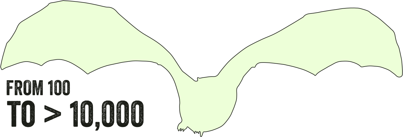 From An Estimated 5-6 Pairs In The Late 1960s, The - Illustration (1404x478)