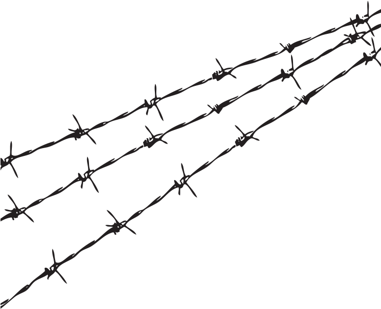 Fence Barbed Wire Png (775x630)