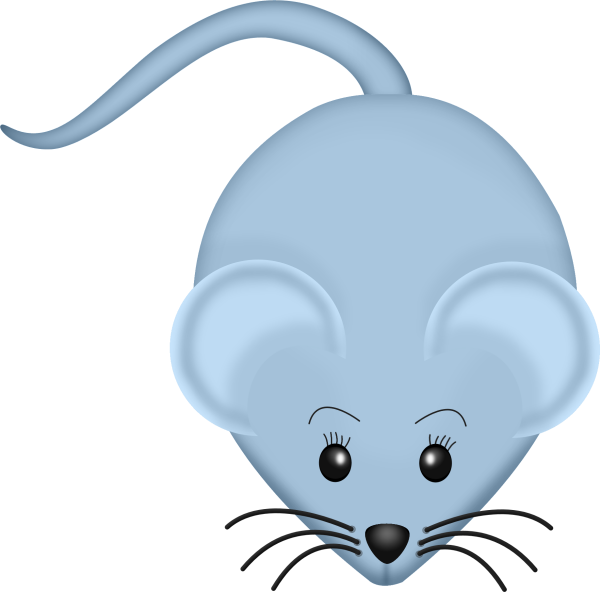 Mouse Animals Images, Zoo Animals, Animal Pictures, - Mouse Animals Images, Zoo Animals, Animal Pictures, (600x592)