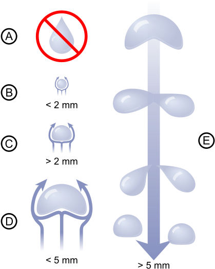 194 × 240 Pixels - 雨滴 形狀 (440x545)