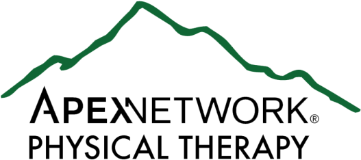 Apexnetwork Physical Therapy Has Been Recognized As - Apexnetwork Physical Therapy Logo (550x301)