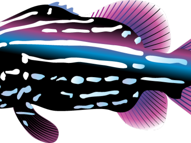 Marine Life Clipart Angry Fish - Marine Life Clipart Angry Fish (640x480)