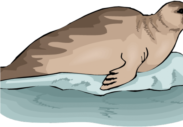 Marine Life Clipart Sea Lion - Тюлень Клипарт (640x480)