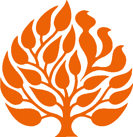 Ramah Announces Results Of Alumni Survey - Jewish Theological Seminary (590x590)