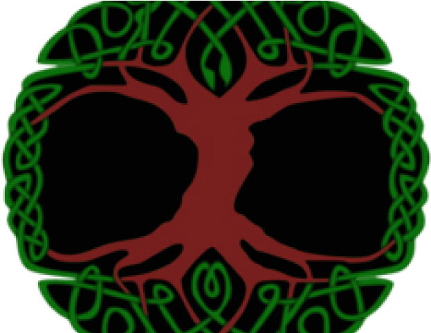 Shamrock Clipart Celtic Knot - Yggdrasil Png (640x480)