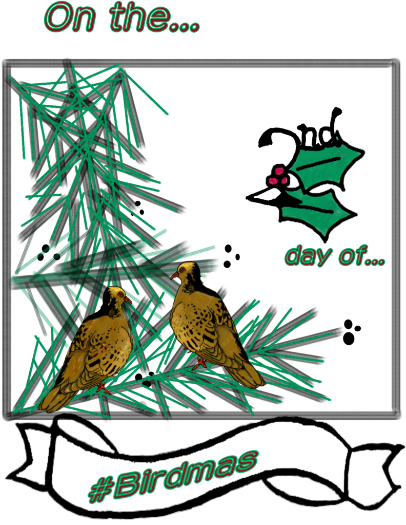 #birdmas #2turtledoves & Partridge In A Pear Tree - Illustration (900x1280)